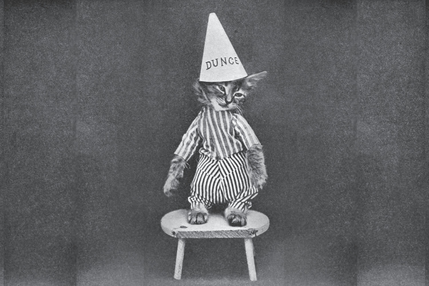 If I’m So Smart, Why Am I Not More Successful?